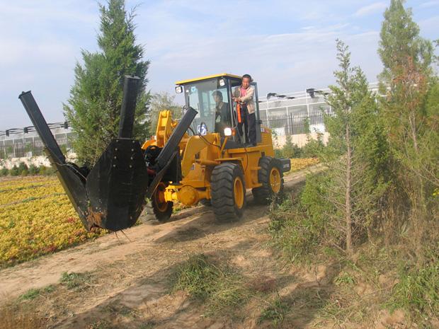 Tree transplanter