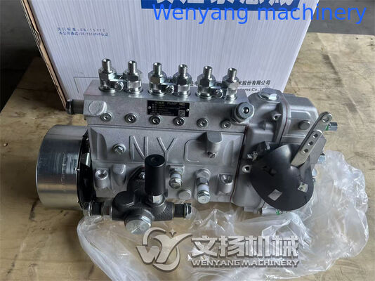 Engine Fuel injection pump J99L1-1111100-493 Yuchai engine spare parts supplier