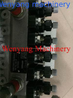 Supply China  engine spare parts injection pump 49994681 supplier