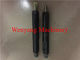 Weichai deutz  engine spare parts deutz engine injector 13053066 supplier
